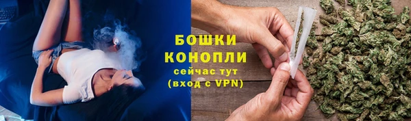 прущие грибы Белокуриха