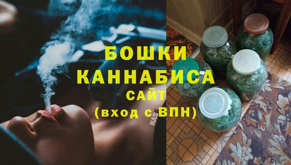 прущие грибы Белокуриха