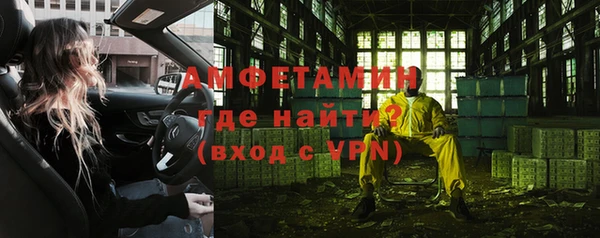 прущие грибы Белокуриха
