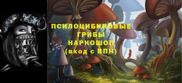 прущие грибы Белокуриха