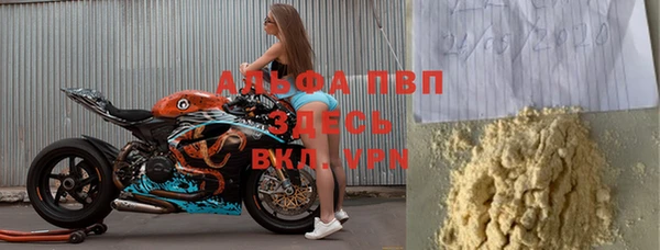 прущие грибы Белокуриха